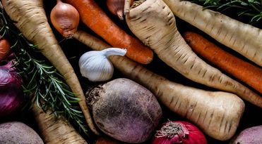 Hier sieht man eine Auswahl an typischen Wintergemüsesorten: Kohl, Karotten, Rettich, Knoblauch und Zwiebel